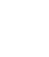 WIP